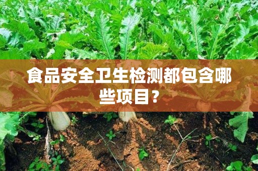 食品安全檢測哪些項目www.bestpcb.com.cn