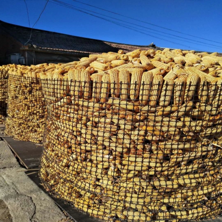 糧食的質(zhì)量和儲存安全